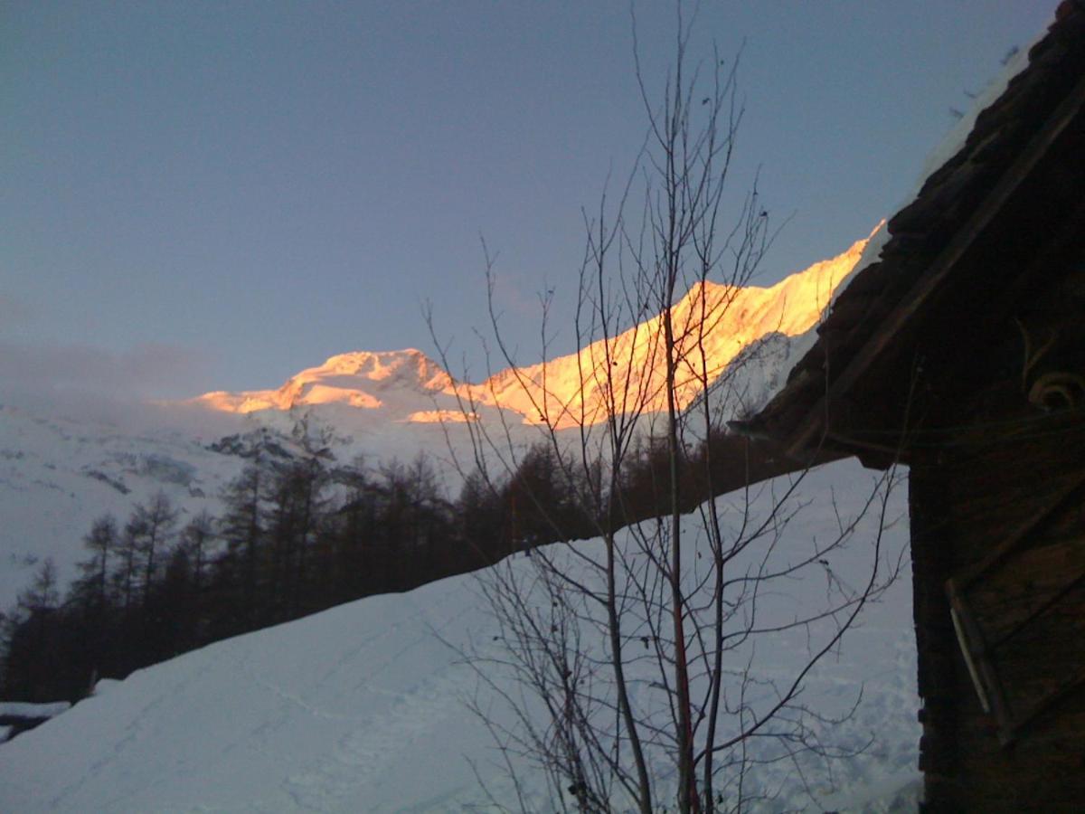 Chalet Birkhahn Saas Fee Eksteriør billede