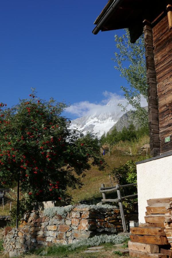 Chalet Birkhahn Saas Fee Eksteriør billede