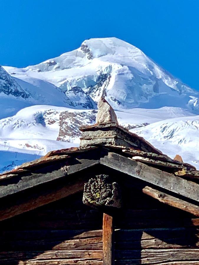 Chalet Birkhahn Saas Fee Eksteriør billede