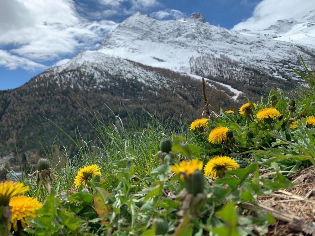 Chalet Birkhahn Saas Fee Eksteriør billede