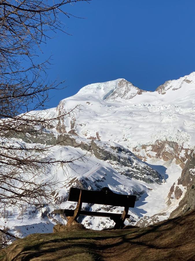Chalet Birkhahn Saas Fee Eksteriør billede