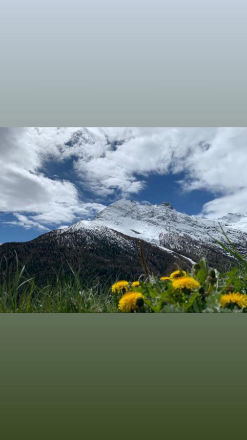 Chalet Birkhahn Saas Fee Eksteriør billede