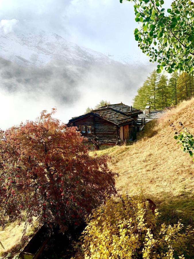 Chalet Birkhahn Saas Fee Eksteriør billede