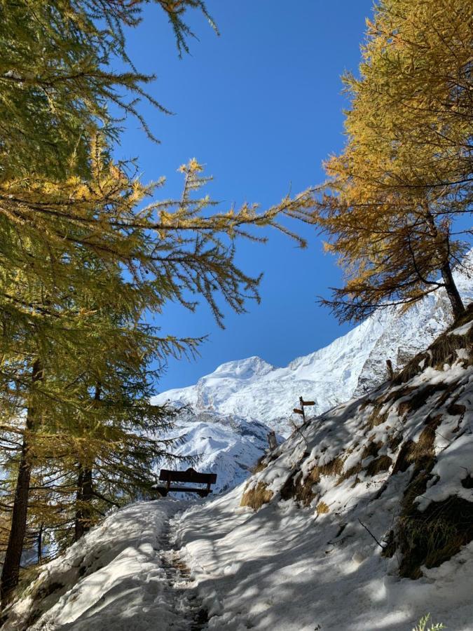 Chalet Birkhahn Saas Fee Eksteriør billede