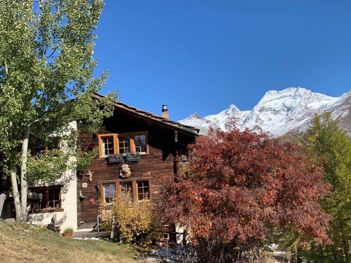 Chalet Birkhahn Saas Fee Eksteriør billede