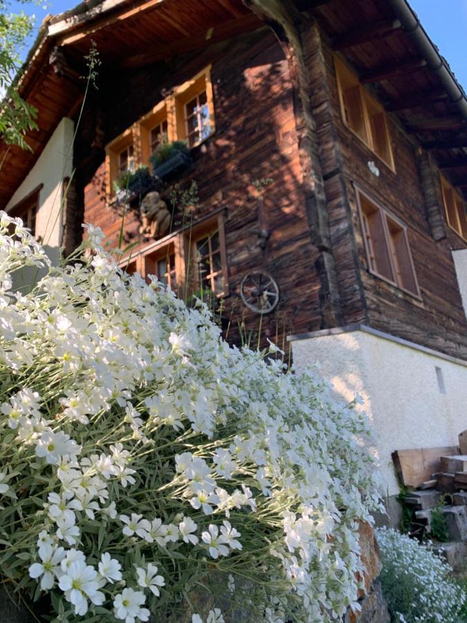 Chalet Birkhahn Saas Fee Eksteriør billede