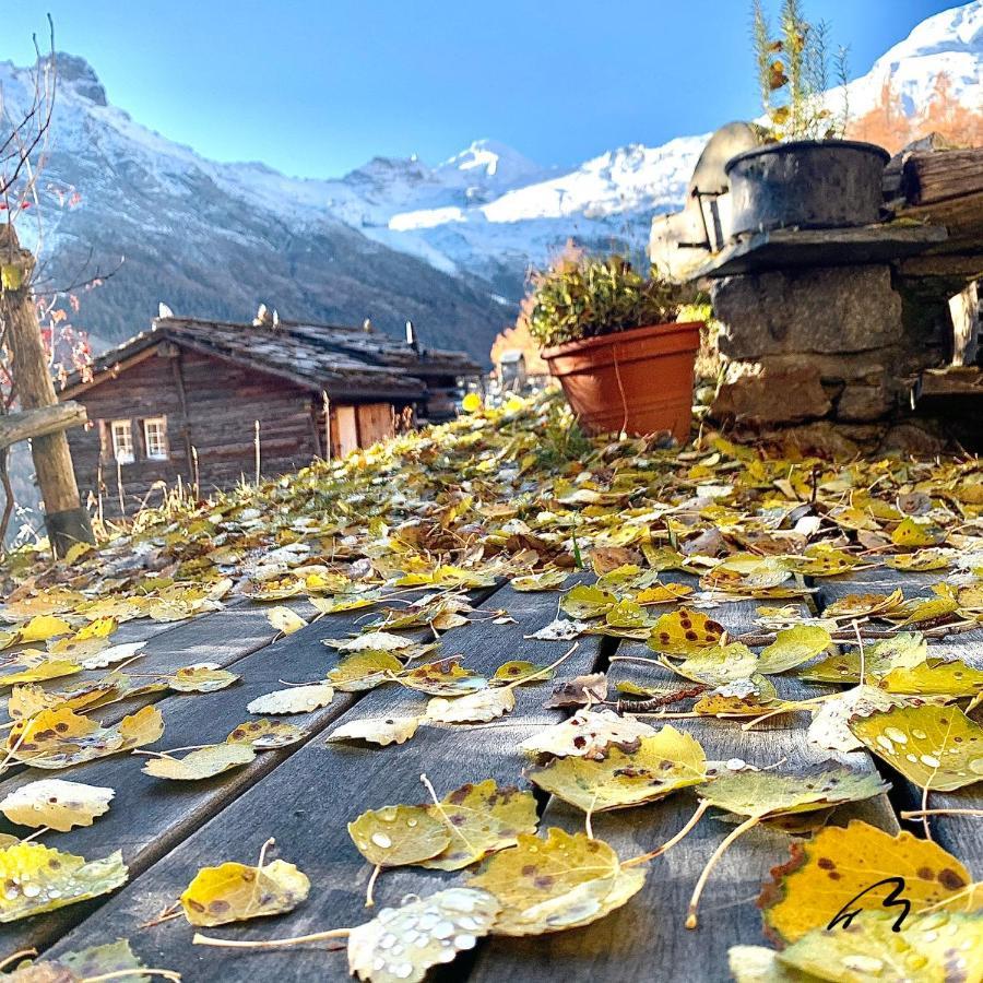 Chalet Birkhahn Saas Fee Eksteriør billede